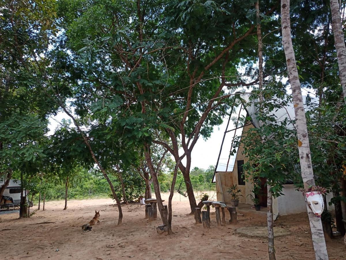 Refugio Raiz Camping Carolina  Εξωτερικό φωτογραφία