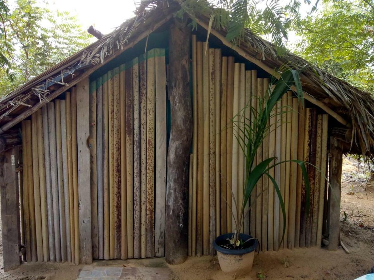 Refugio Raiz Camping Carolina  Εξωτερικό φωτογραφία