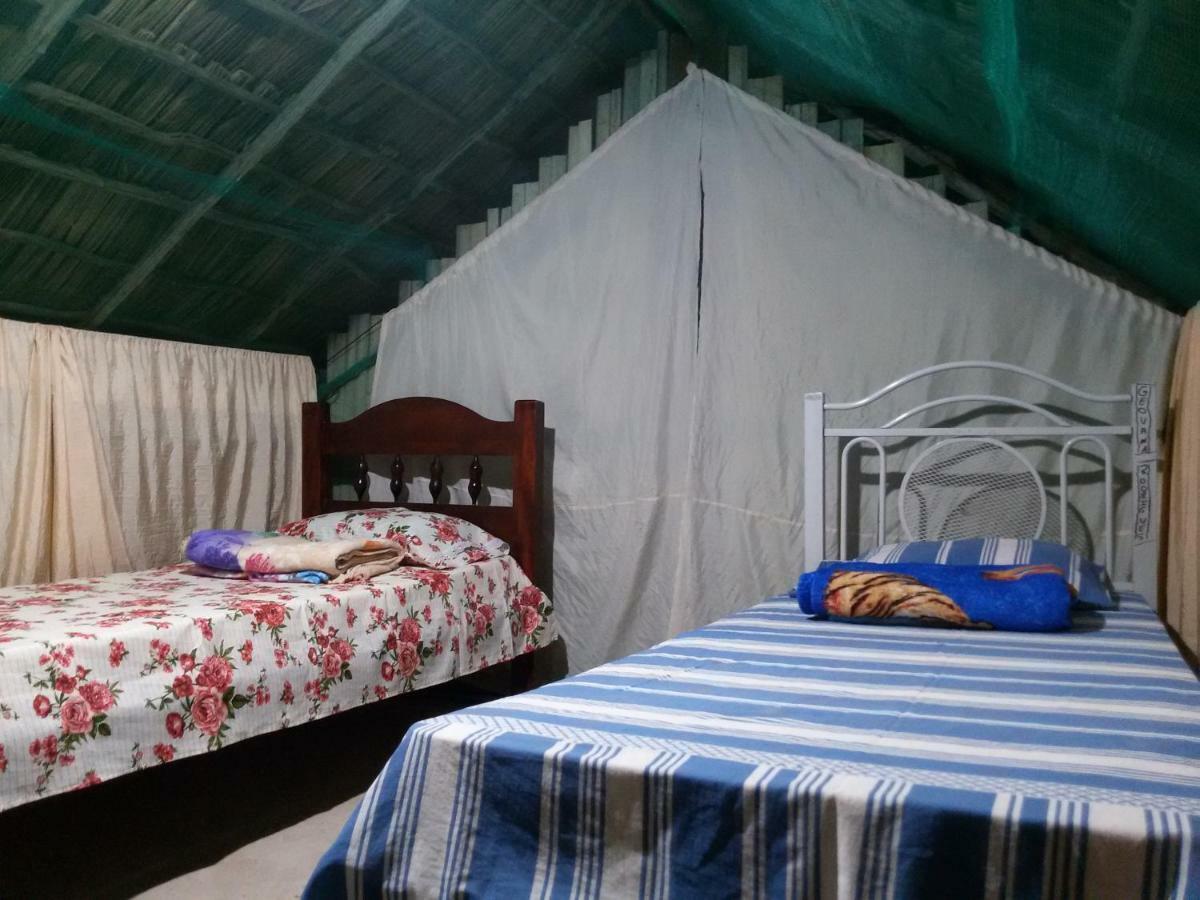 Refugio Raiz Camping Carolina  Εξωτερικό φωτογραφία